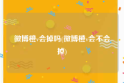 微博橙v会掉吗(微博橙v会不会掉)