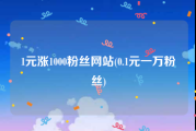 1元涨1000粉丝网站(0.1元一万粉丝)