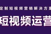 视频学网络营销(网络推广视频课程)