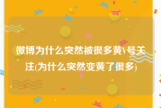 微博为什么突然被很多黄V号关注(为什么突然变黄了很多)