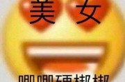 lsp可动的表情图(我承认我lsp表情包)