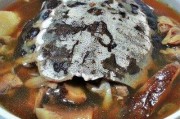 清炖甲鱼的做法视频(清炖甲鱼的做法视频教学)
