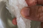 燕窝做法视频(燕窝的做法与吃法视频)