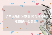 技术流是什么意思(网络用语技术流是什么意思)