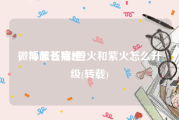 微博怎么搞橙v
，斗破苍穹2橙火和紫火怎么升级(转载)