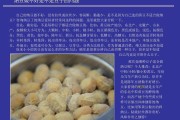 如何制作纳豆视频教程(如何制作纳豆视频教程下载)