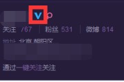 微博黄v怎么修改(微博黄v怎么改名字)