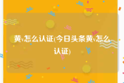 黄v怎么认证(今日头条黄v怎么认证)