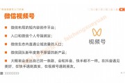 微信视频号黄v认证条件(微信视频号蓝v和黄v的区别)