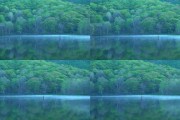 高清唯美风景短视频(高清唯美风景短视频制作)