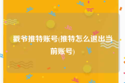 戳爷推特账号(推特怎么退出当前账号)