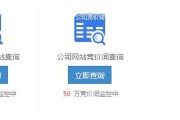 百度竞价(百度竞价排名)