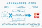 视频推广优势(网络视频营销优势)