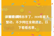 微博红v黄
，新浪微博出手了，2020年底大整动，不少网红全栽进去。以下看看名单。