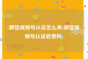 微信视频号认证怎么弄(微信视频号认证收费吗)