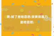 黄v掉了是啥意思(很黄很暴力是啥意思)