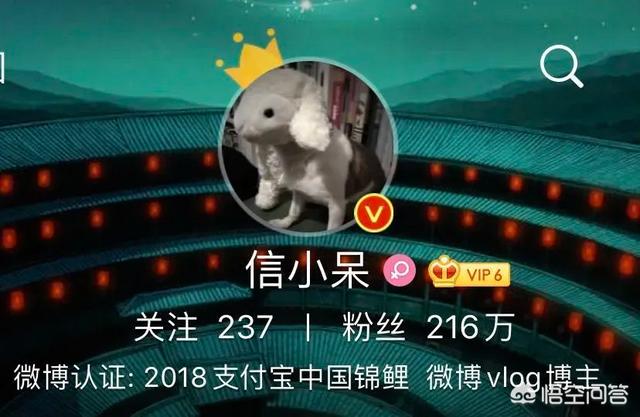 如何看待支付宝“中国锦鲤”（微博ID信小呆）宣布一元转让“中国锦鲤”的操作？
