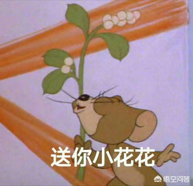 你像我一样，因为使用了今日头条好久都不刷微博了吗？你上头条是因为什么？