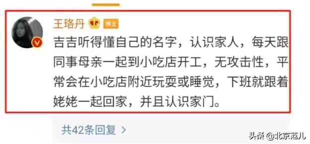 王珞丹连发两条“找鸭”微博冲上热搜，关于这件事你怎么看？