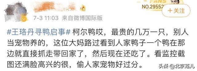 王珞丹连发两条“找鸭”微博冲上热搜，关于这件事你怎么看？