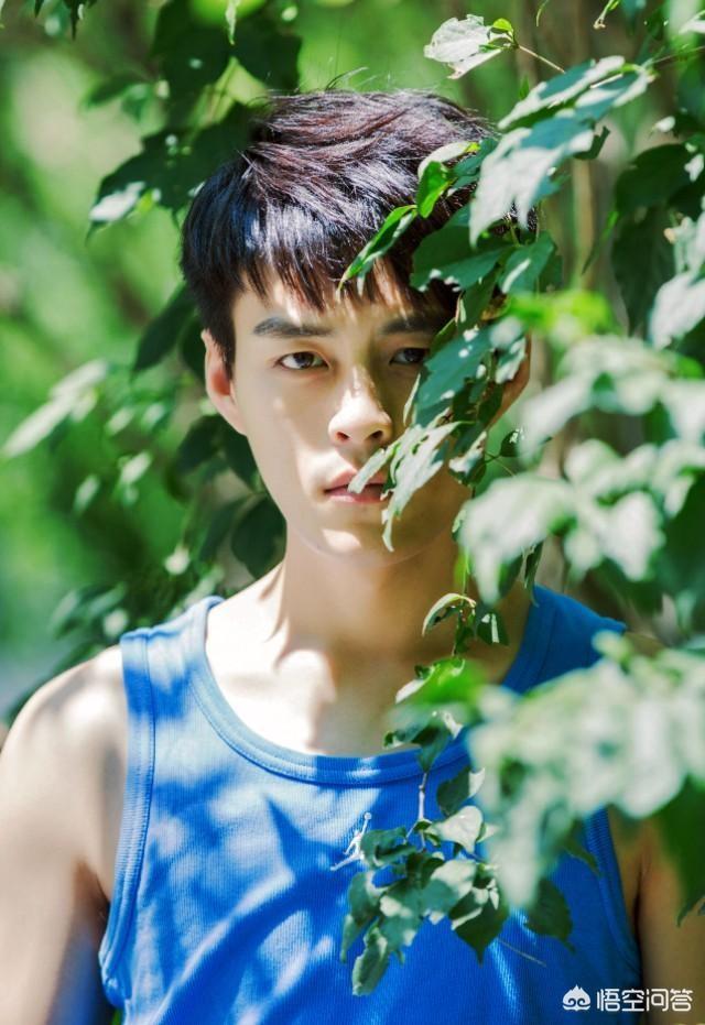 微博上的草图君是什么来历？