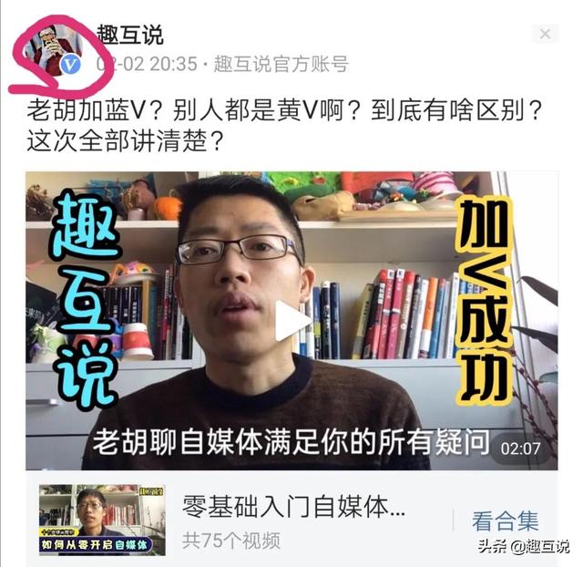 为什么有些人的v是蓝色呢？代表了什么？