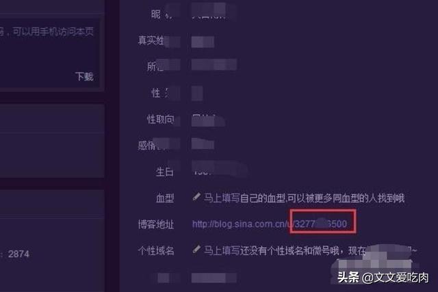 微博博主的ID应该如何进行查看？