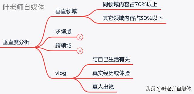 最近很多vlog作者被撤消黄V，vlog怎样才算领域垂直？