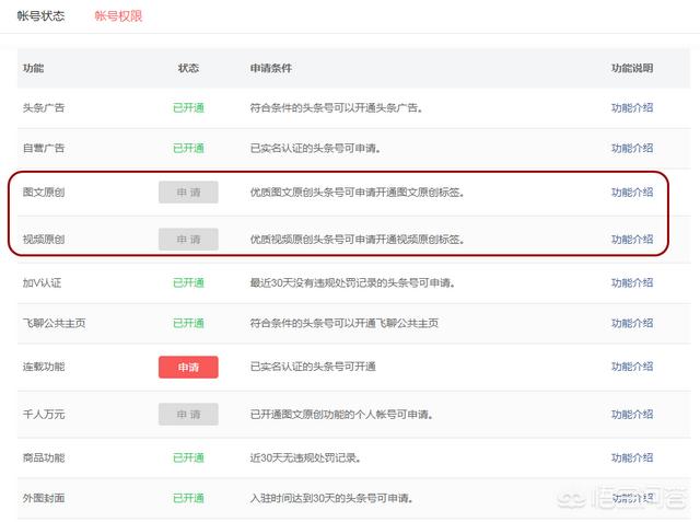 黄V认证与原创认证有什么区别？