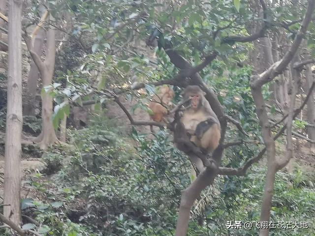 你知道的与旅游相关的所有内容，主要是从哪些传播平台获取的？