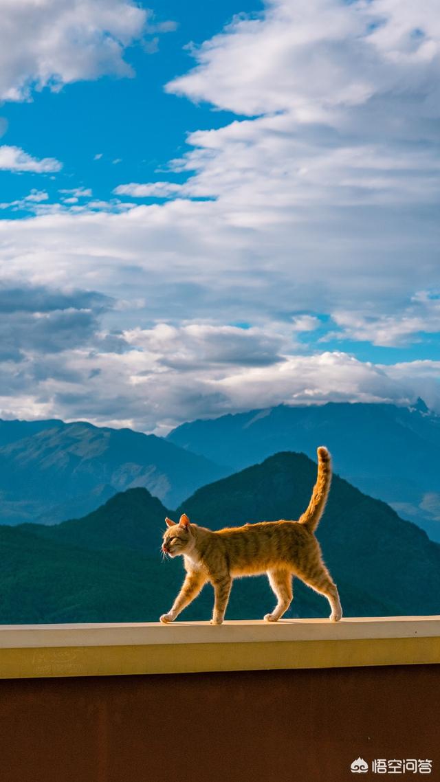 微博上有哪些值得关注的摄影博主？