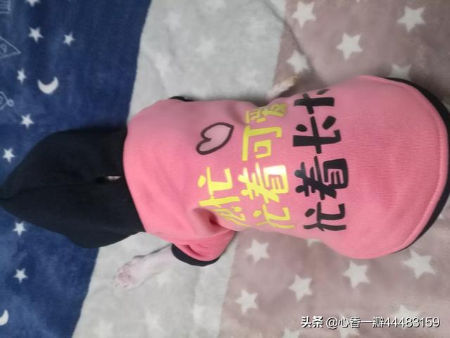 为什么在微博网络暴力那么严重，我到底该怎么办？该怎么处理？