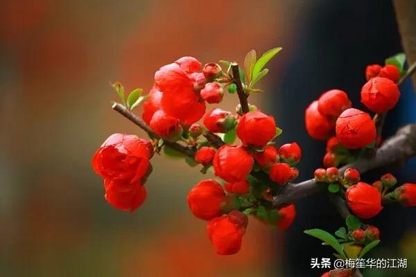 古代有哪些词特别污但是很文艺？