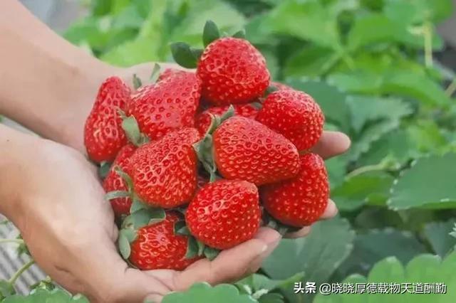 怎么在微信卖水果？