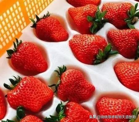怎么在微信卖水果？