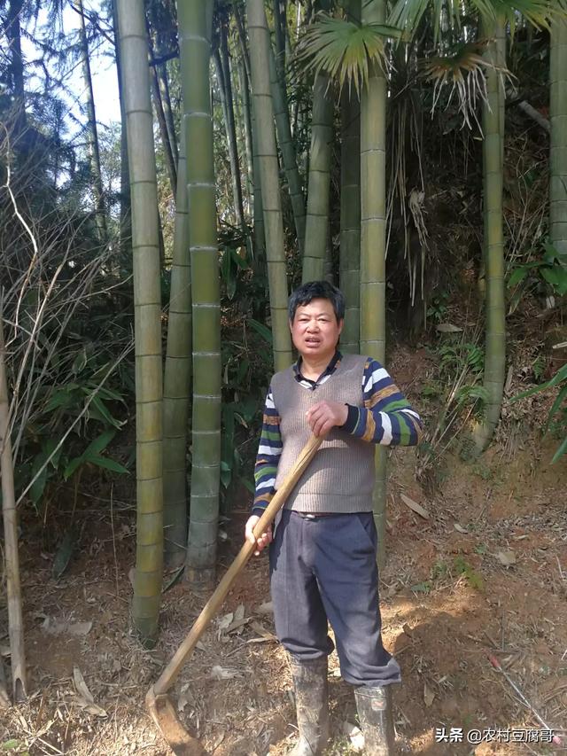 农村人没有工作证怎样才能申请加V和认证有什么办法？