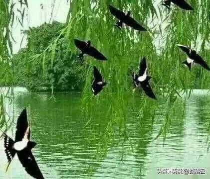 加v以后有什么好处？