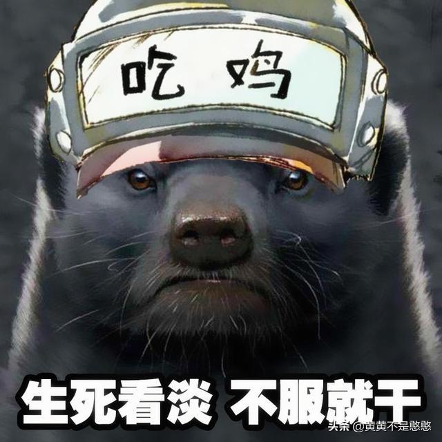 大家都有喜欢的游戏博主吗？可以分享一下吗？
