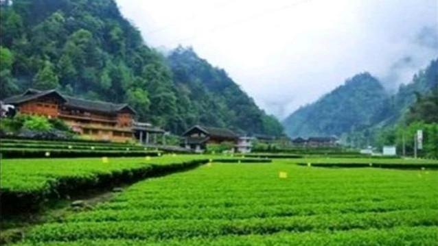 旅游领域的各位前辈，都是通过什么方式加的黄v？用了多长时间？