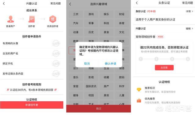 为什么一些几百粉的自媒体号都能加上黄V？