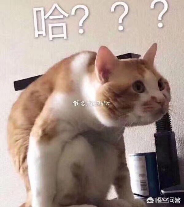 如何完美拒绝吃鸡队友向你要微信？