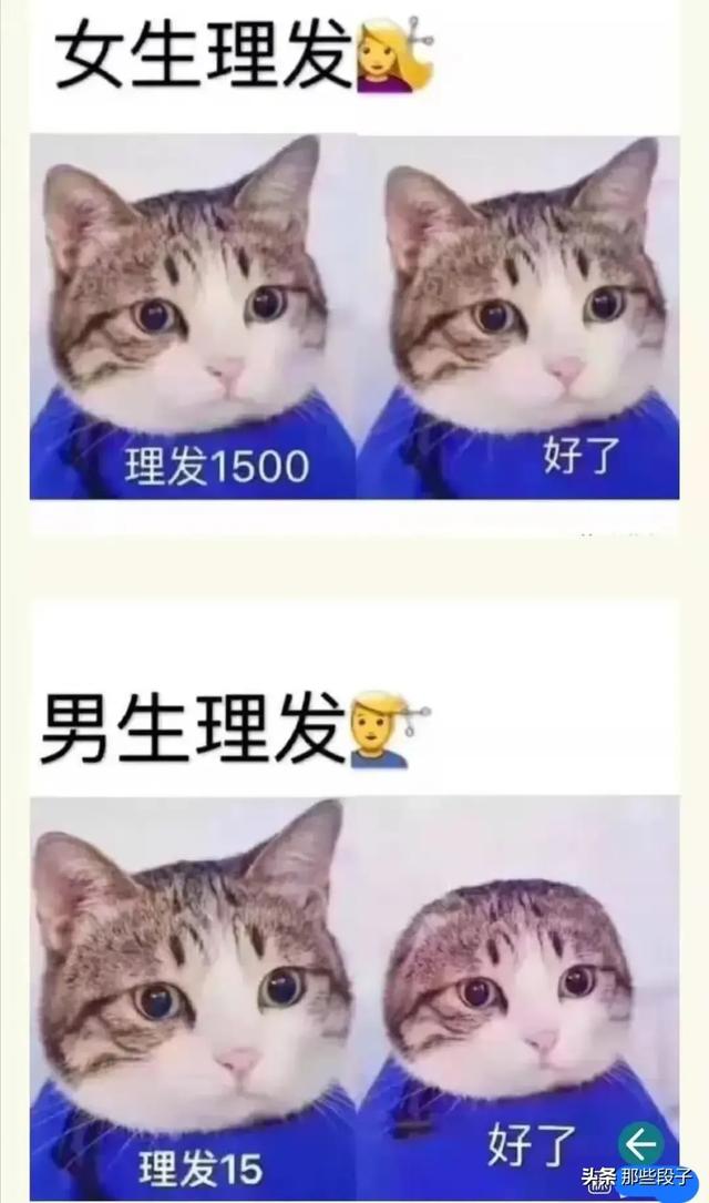 有哪些让你笑到抽风的图片？
