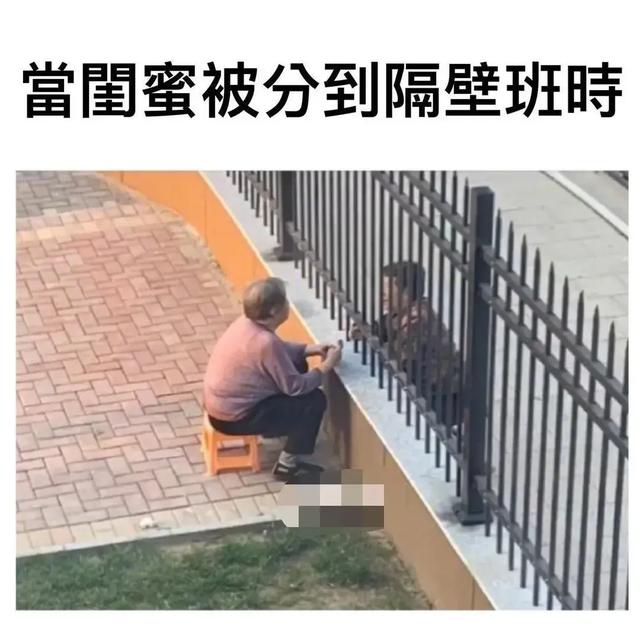 有哪些让你笑到抽风的图片？