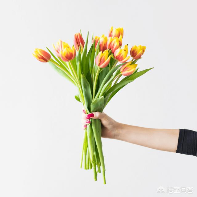 女孩子收到男生送的花一般都会怎么处理呢，看到微博热搜用来泡脚，我的天啊？