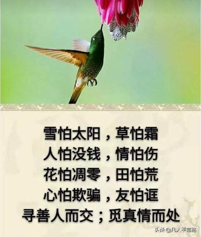 最脏的东西是什么？而且人类是离不开的东西？