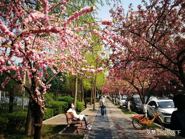 男女之事为什么叫桃花运？