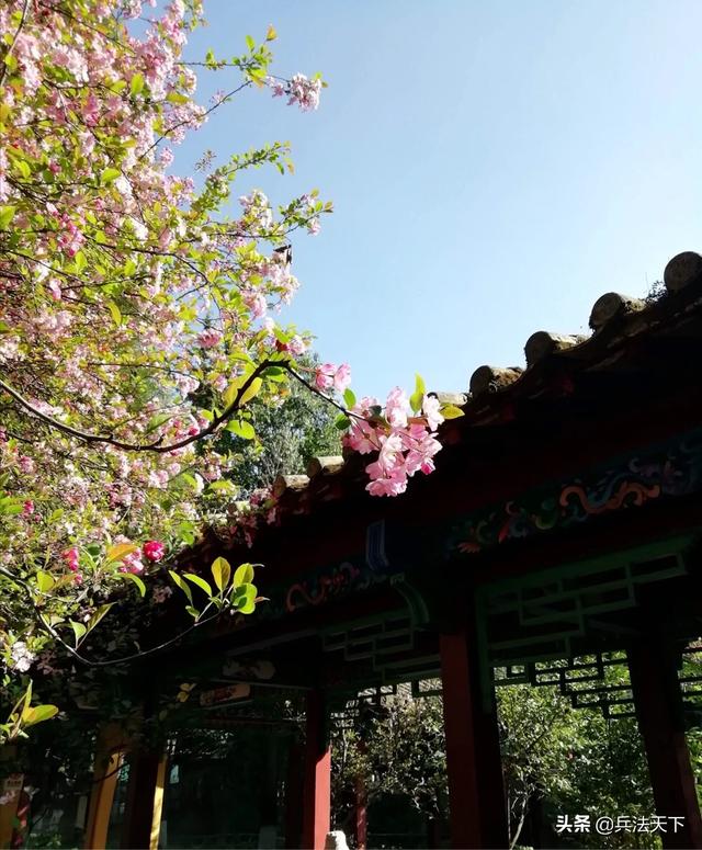 男女之事为什么叫桃花运？