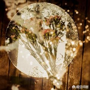 有什么值得推荐的摄影作品的微博号？