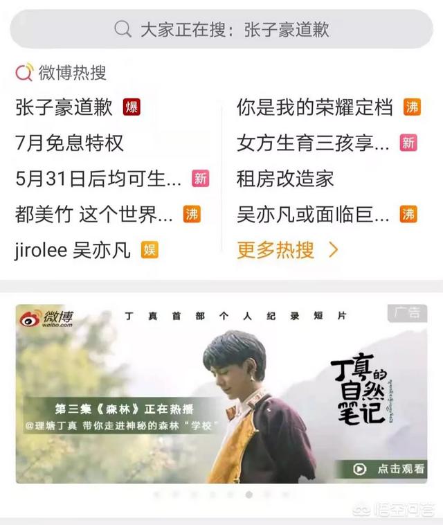 微博为《丁真的自然笔记》提供了什么样的支持?