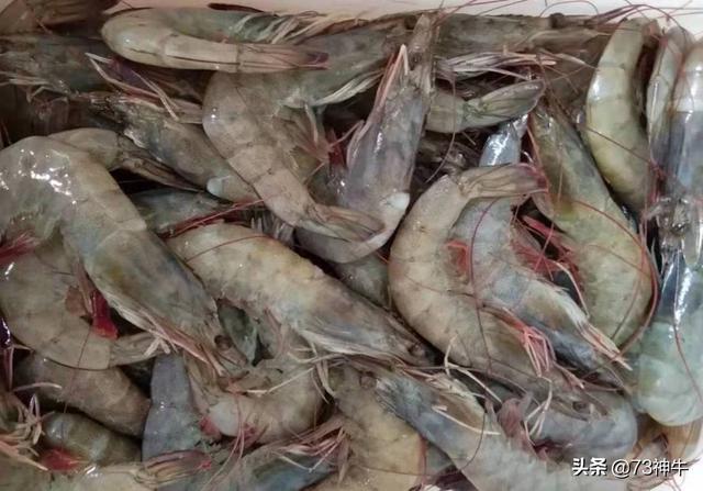 49元的自助餐，锅底38元，海虾毛肚不限量老板靠什么赚钱？